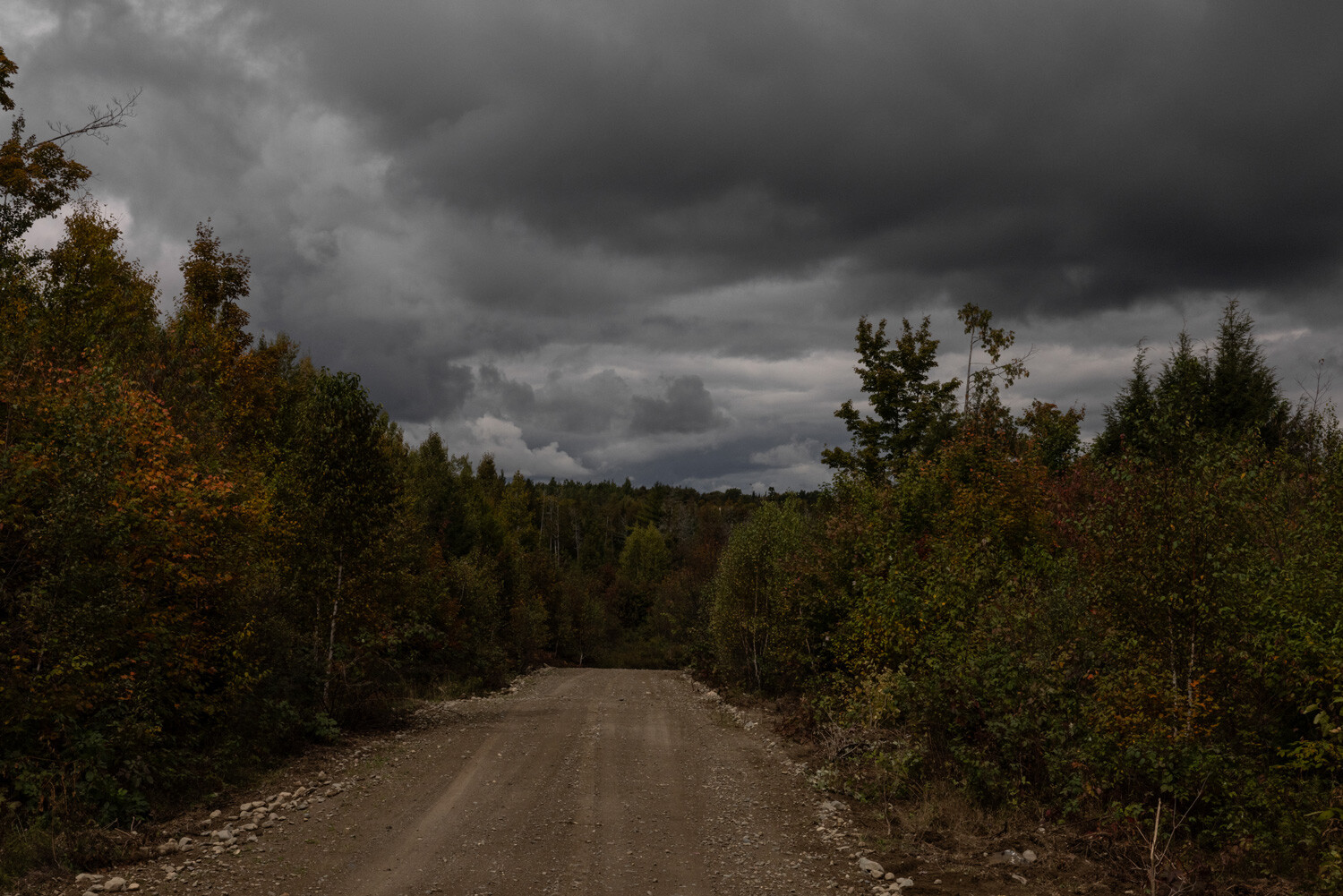 Rural Maine Road